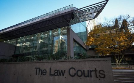 B.C. MLA Hon Chan pleads not guilty in alleged intimate partner violence case
