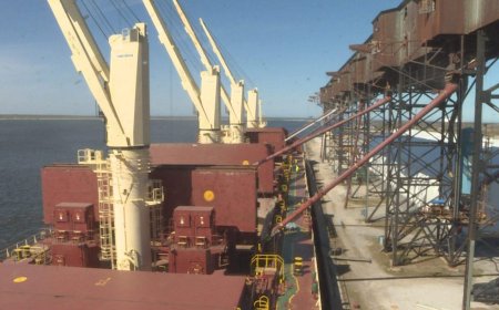 Port of Churchill resumes grain shipments for 1st time in 6 years