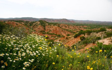 Best hikes to try around Lubbock ahead of Texas Tech's week one matchup with Abilene Christian