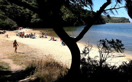 Deadly mystery unfolds as canoeists are found unresponsive after midnight trip