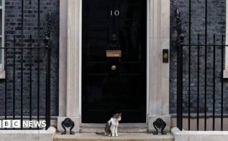 Fake 10 Downing Street listing exposes 'unfit' Booking.com, says consumer group