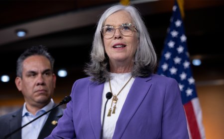 Top Democrat survives double-barreled challenge as party’s Israel divide hits home