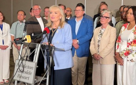 RCMP ask to meet ex-B.C. Conservative who says he was offered job to quit as MLA