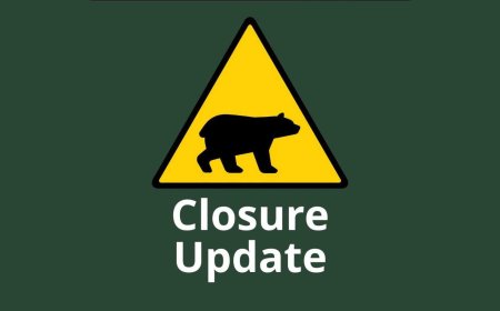 Increased bear activity prompts closures at Bruce Peninsula National Park