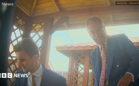 Farage senior aide filmed suggesting way to avoid donations law