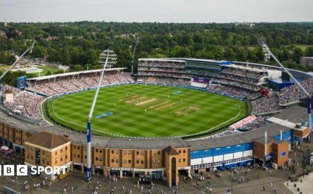 Ashes tickets pricing people out of game - Vaughan