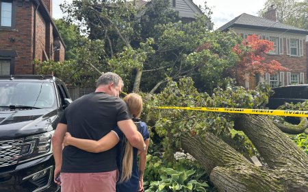 ‘God says ‘you can’t leave’: Toronto man whose home was hit by tree during storm proposes to fiance