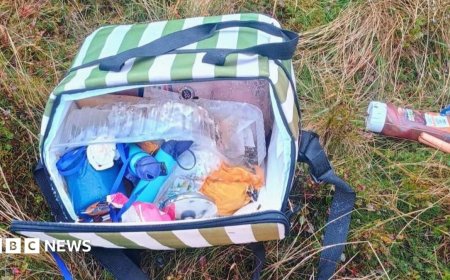 Anger as human poo and 'maggot-infested' food left behind at beauty spot