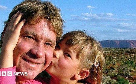 Steve Irwin's family celebrates 'superhero' dad, 20 years after shock death