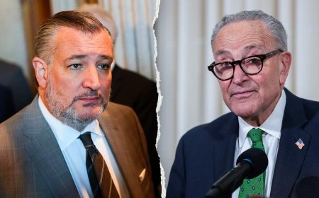 Ted Cruz names ‘most powerful Democrat’ as he warns socialist rise has paralyzed bipartisanship