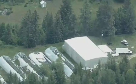 Only one person charged after RCMP dismantle Canada’s largest superlab