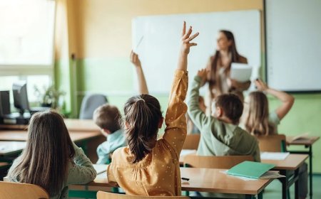 Charter school network files First Amendment lawsuit after state blocks AP scores from US News