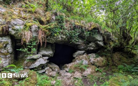 Ancient cave art discovery suggests first known humans in Ireland walked over from Wales