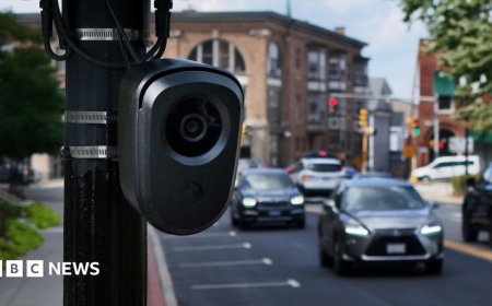 Flock says its cameras make US safer - so why are they being sabotaged?