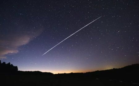 Starlink is offering half-price internet near xAI data centers, but critics want the pollution fixed