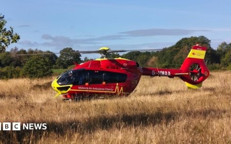 Police probe after child dies in woodland