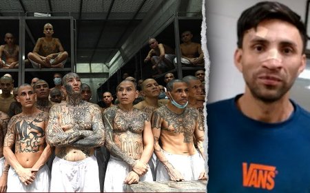 Machete-wielding MS-13 gangster wanted for murder walks free after Biden-appointed judge releases him: DHS
