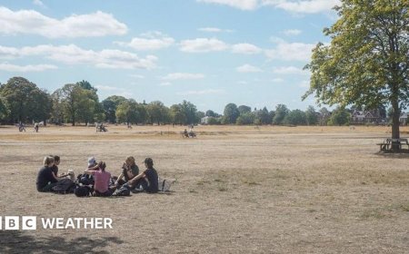 Temperatures could climb to 28C in late burst of warmth