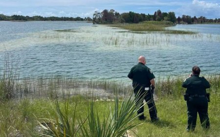 Massive alligator attacks young swimmer in nature preserve despite posted warning