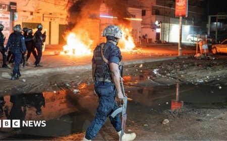 'You're not alone in the darkness': Gambia president urges calm after violent blackout protests