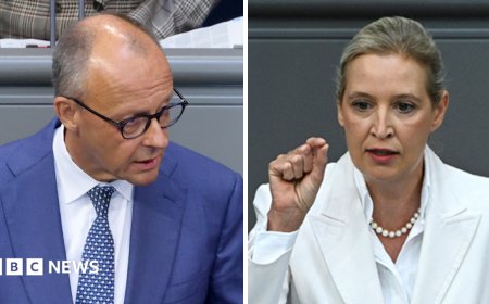 Germany's Merz attacks AfD in stormy debate after far-right election win