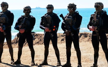 Navy SEALs Spent Four Months Clearing Iranian Mines from Strait of Hormuz in Dangerous Secret Mission
