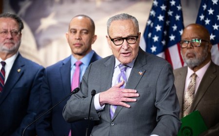 Top Republican names who he says is really leading Democrats — and it's not Schumer or Jeffries