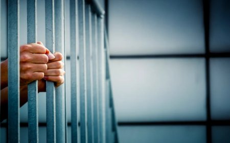 Chinese nationals accused of smuggling synthetic drugs into US prisons on drug-soaked paper
