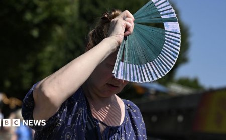 August joint hottest month on record as climate change and El Niño drive heat