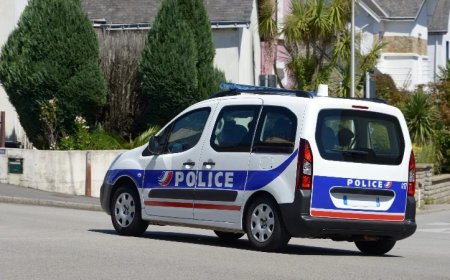Cameroonian Alien Sentenced To 13 Years In Prison For Raping 75-Year-Old Woman In Her Home In France