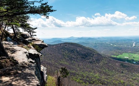 Hiker in Georgia makes disturbing discovery on mountain