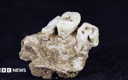 Drug use may have begun 25,000 years ago in Indonesia, research finds