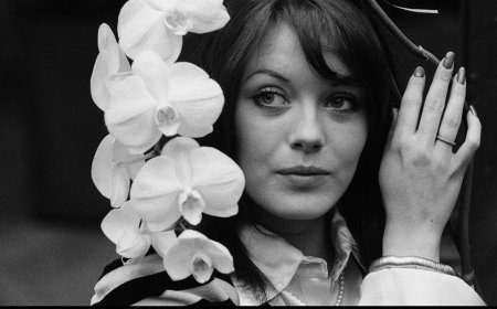 British actress Lesley-Anne Down traded in LA’s fires and political leanings for a life in Georgia