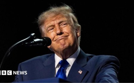 Can Trump really pay $5,000 to every American adult?