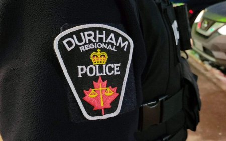 4 arrested, more than 200 charges laid in GTA theft investigation