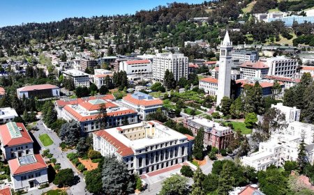 Trump administration accuses prestigious law school of favoring Black applicants over White, Asian peers