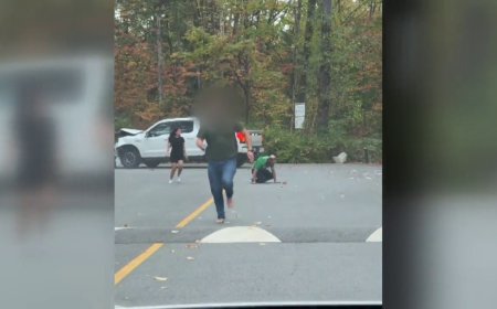 B.C. driver helps save man from knife-wielding suspect in Surrey park