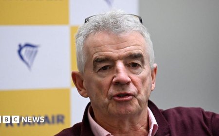 Ryanair boss O'Leary defends 'high-fare rapists' airlines remarks