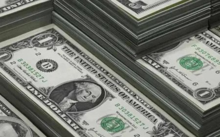 India's forex reserves surge record $44.9 billion to all-time high of $785.7 billion