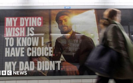 Assisted dying: How laws differ around the world