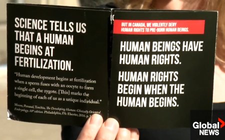 Saskatoon councillor pushes for rules on graphic anti-abortion flyers