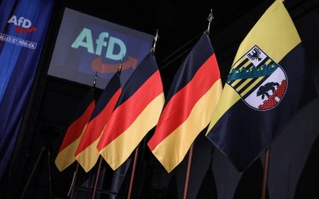 AfD Politician Suggests Migrants Will Be Deported at Gunpoint