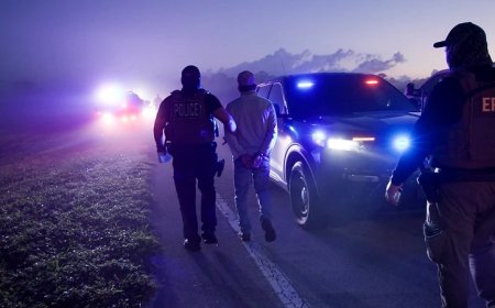 PHOTOS: 500 Illegals Arrested in Southwest Florida