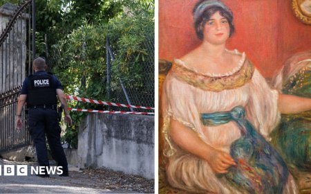 'Every museum in the world is stressing': Did the Louvre heist embolden thieves?