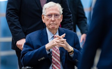Mitch McConnell swarmed by security as reporter pleads: 'Can you say a word for us?'