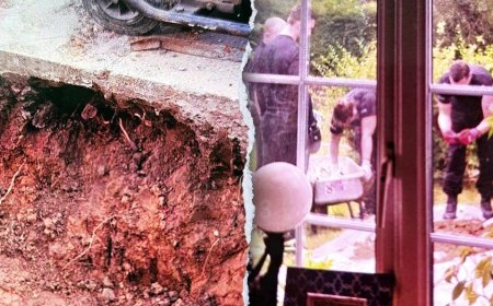 Shocking discovery of ancient bones turns couple's kitchen renovation into 'crime scene'