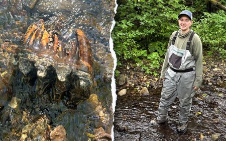 Strange rock catches scientist's eye during creek search, leading to rare discovery