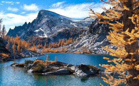 Husband and wife get trapped in premier hiking destination; only one of them makes it out alive