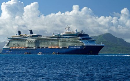 Cruise vacation takes frightening turn as passenger is airlifted from ship