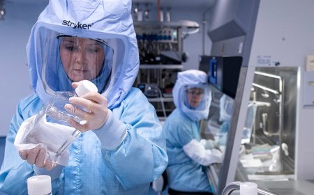 If Trump wants to lower drug prices, his obvious free-riding targets are outside the US